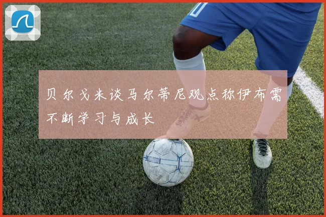 贝尔戈米谈马尔蒂尼观点称伊布需不断学习与成长